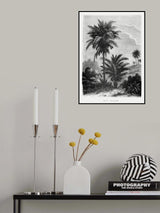 Vintage Palm Tree Drawing V Poster och Canvastavla