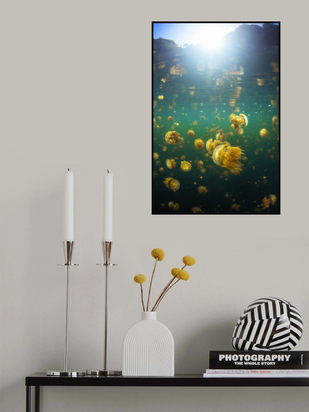 Lenmakana Jellyfish Poster och Canvastavla