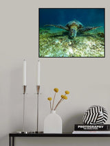 Feeding session Poster och Canvastavla