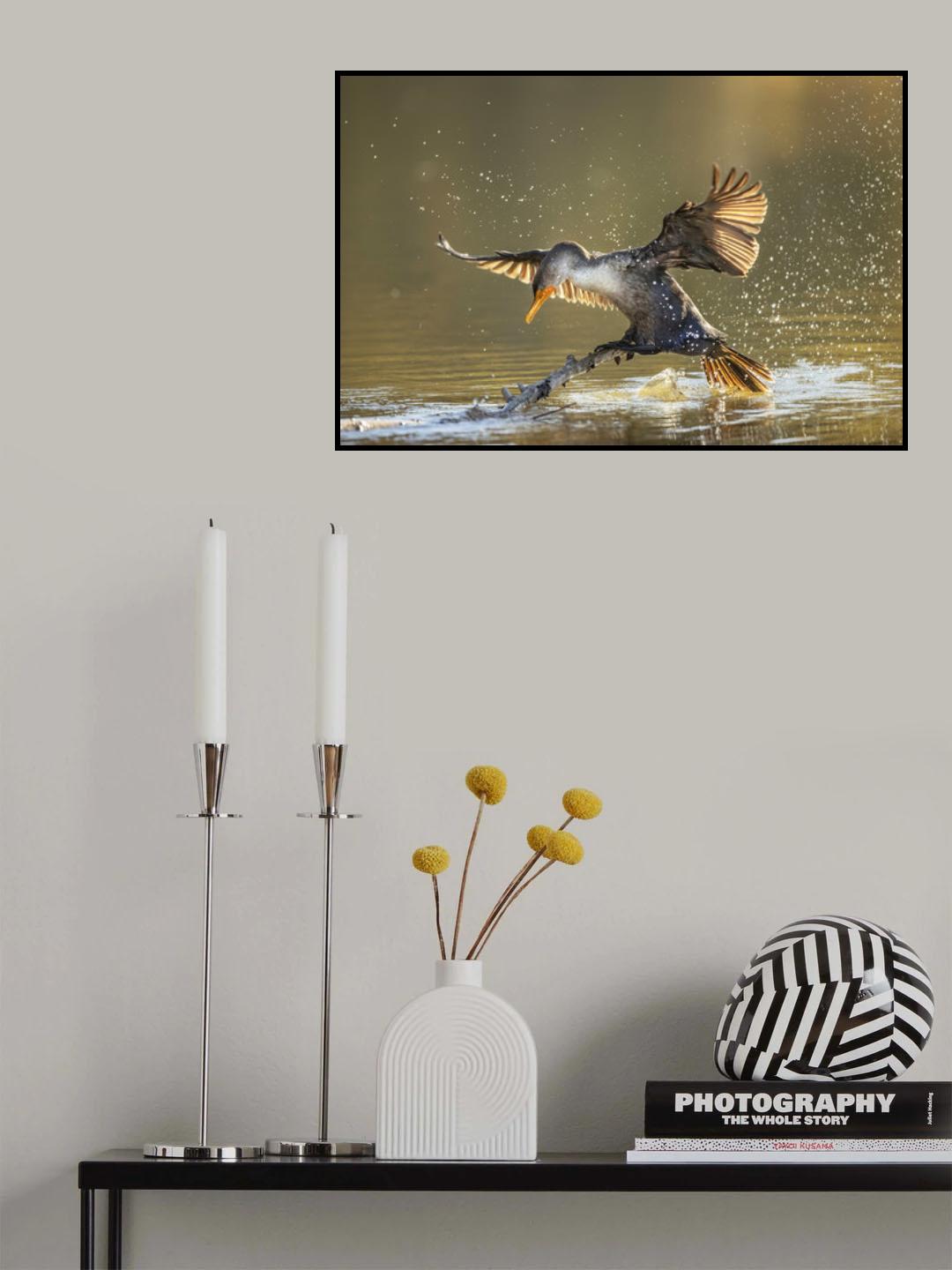 open wings Poster och Canvastavla
