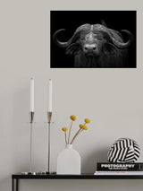 Poster och Canvastavla