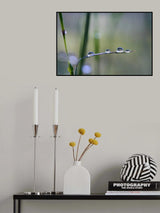 Welcome to my World Poster och Canvastavla