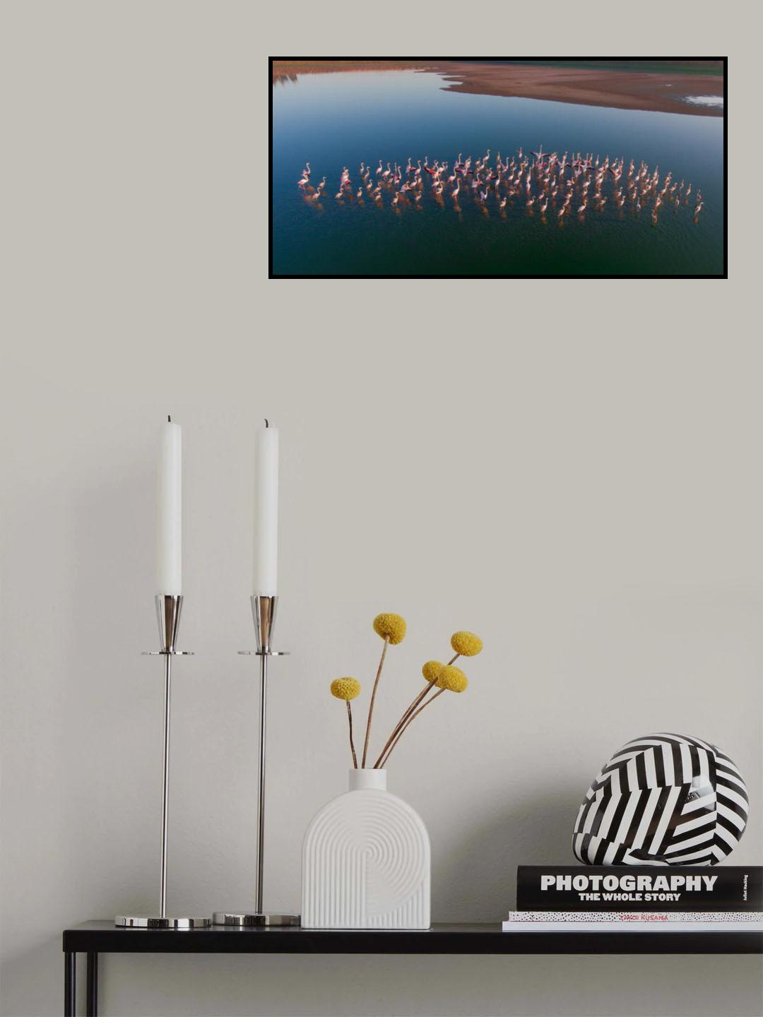 Flamingo Poster och Canvastavla