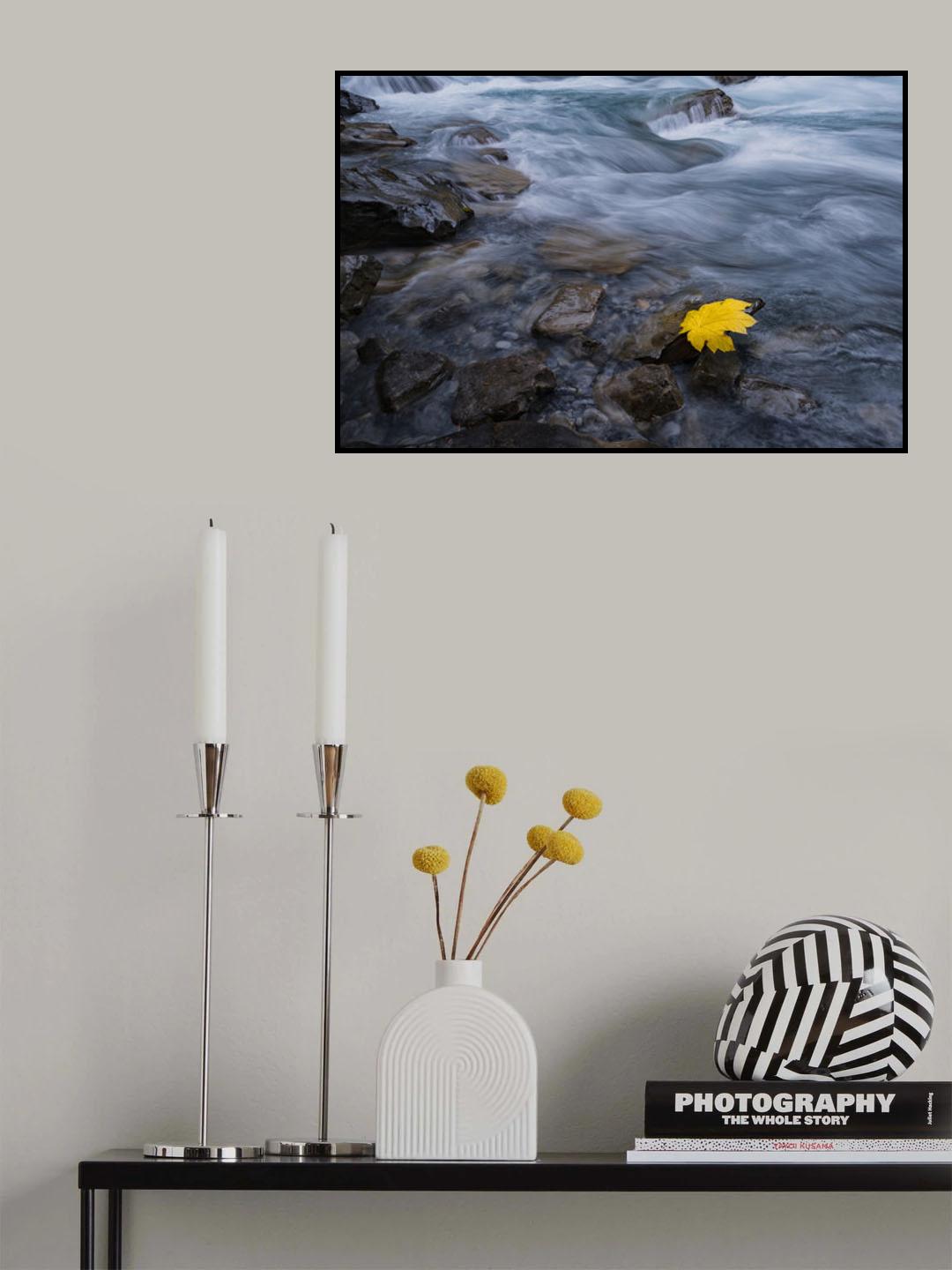 Fall is here Poster och Canvastavla