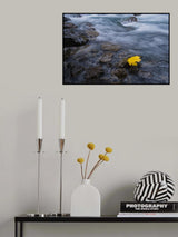 Fall is here Poster och Canvastavla