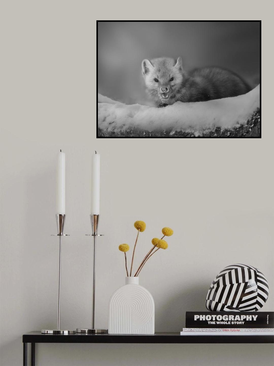 Cute Pine Marten Poster och Canvastavla
