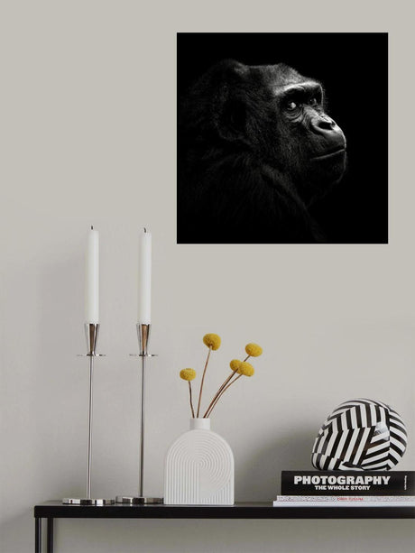 Gorilla Poster och Canvastavla