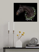 Christmas Horse Poster och Canvastavla