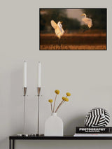 Dancing for love Poster och Canvastavla