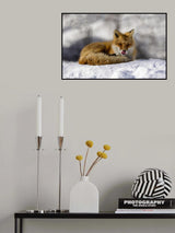 I am hungry Poster och Canvastavla