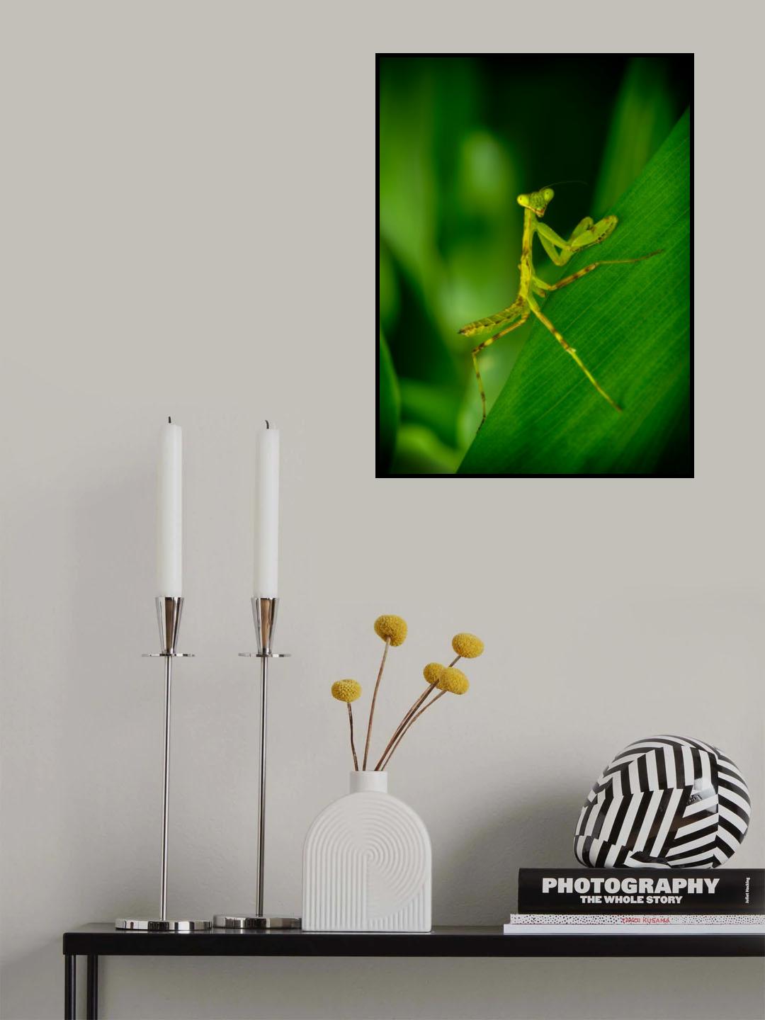 glower Poster och Canvastavla
