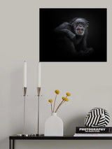chimpanzee Poster och Canvastavla