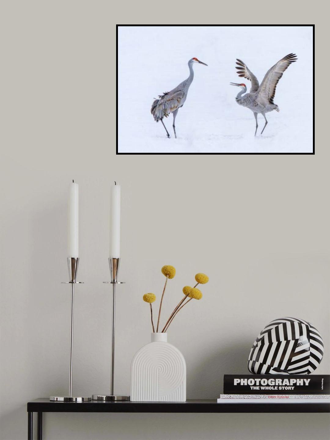 Dancing in snowfield Poster och Canvastavla