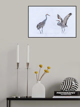 Dancing in snowfield Poster och Canvastavla