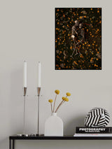 Memento Mori Poster och Canvastavla