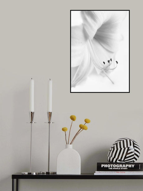 White on White Poster och Canvastavla