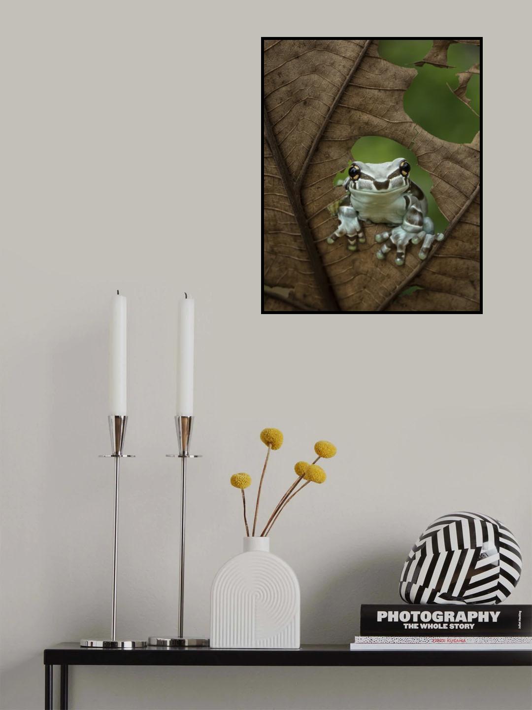 Looking At Window Poster och Canvastavla