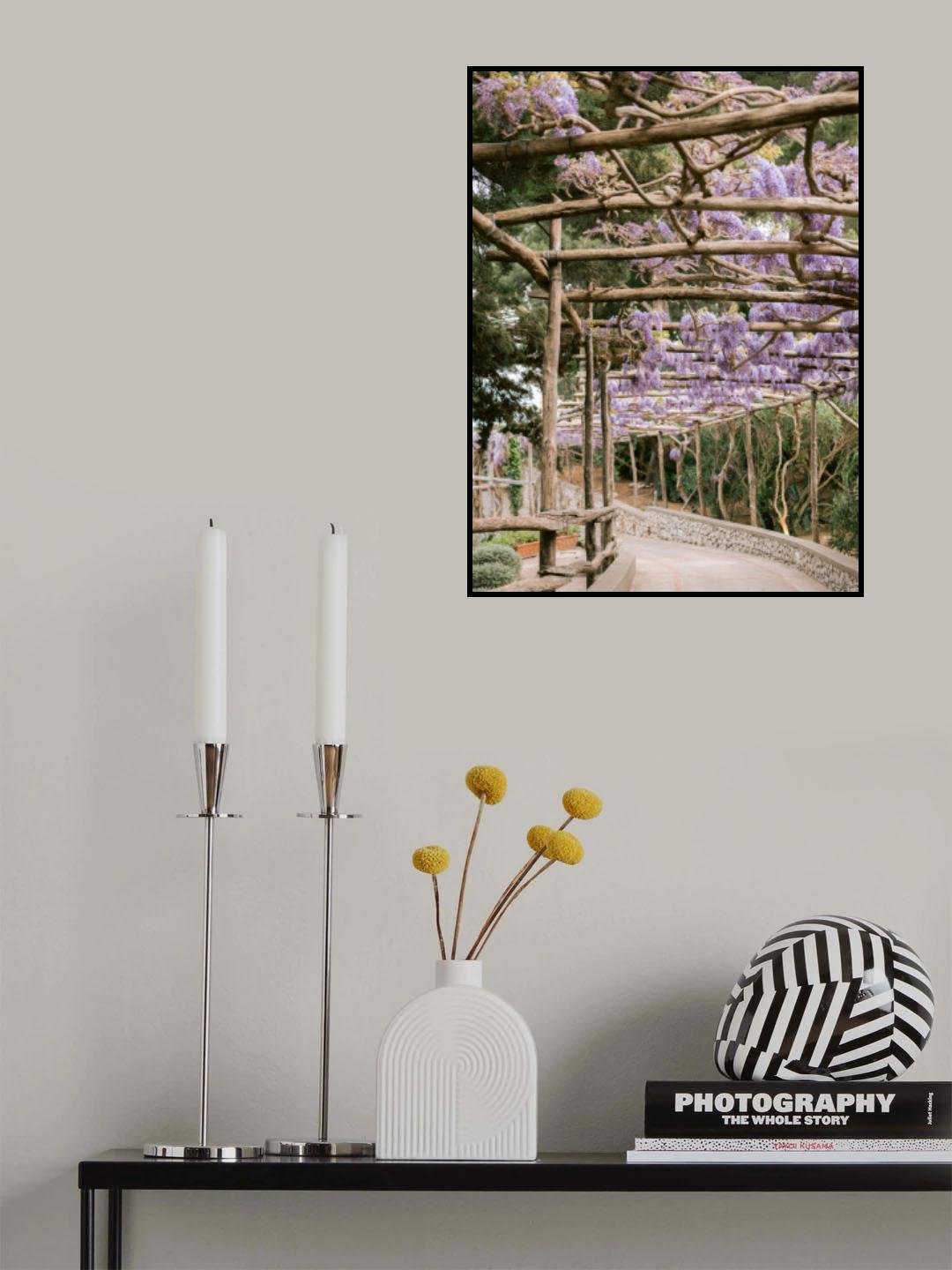The Lavender Walkway Poster och Canvastavla