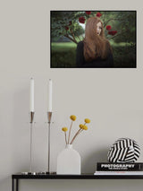 Poster och Canvastavla