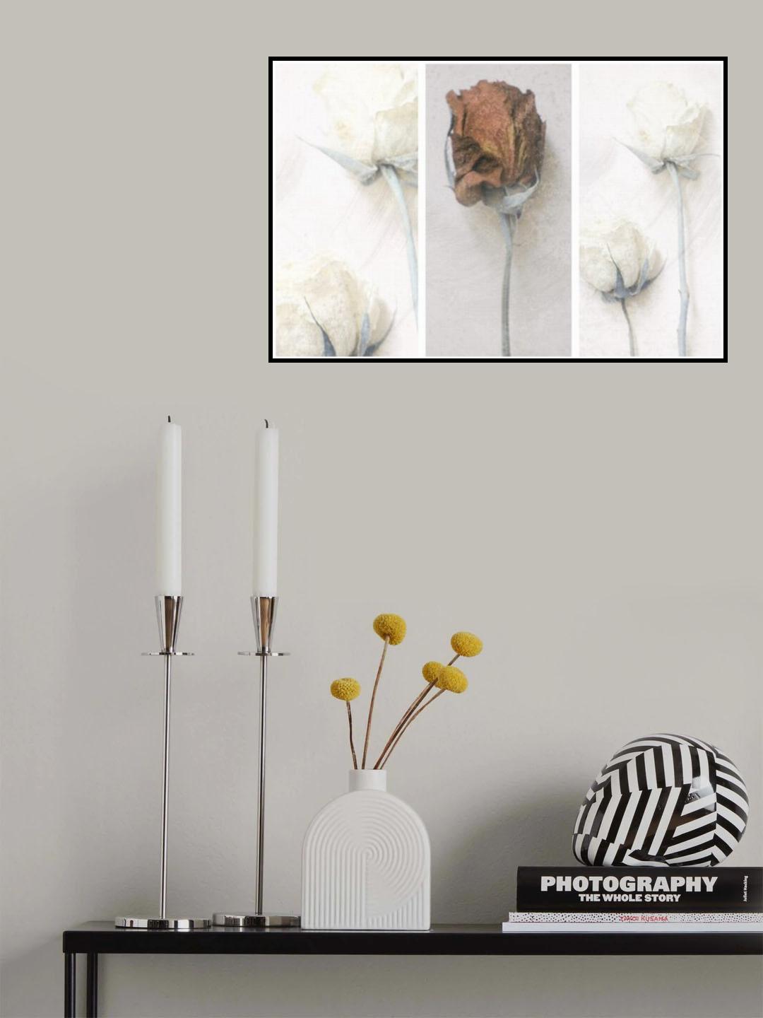 Memories of Modest Emotion Poster och Canvastavla