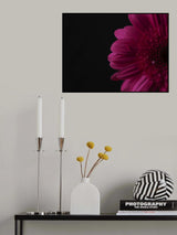 beautiful flower Poster och Canvastavla