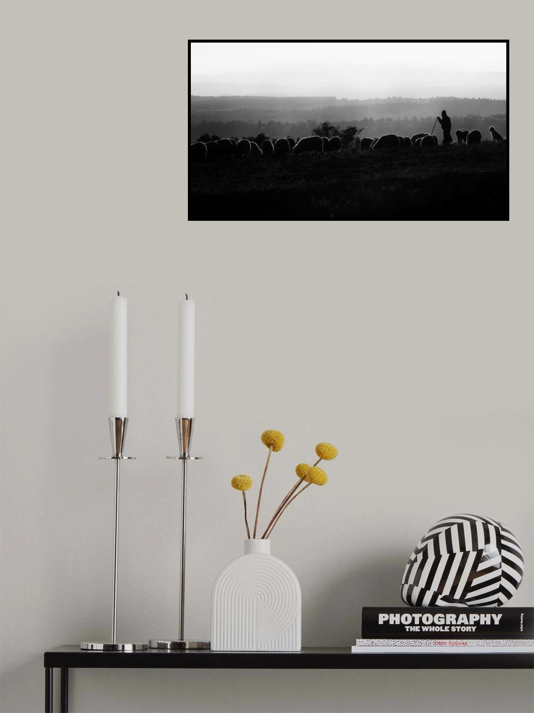 The shepherd Poster och Canvastavla