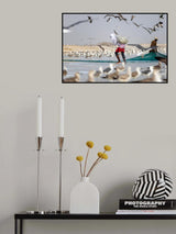 Sardine season Poster och Canvastavla