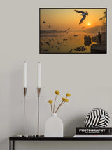 Wings over Yamuna Poster och Canvastavla