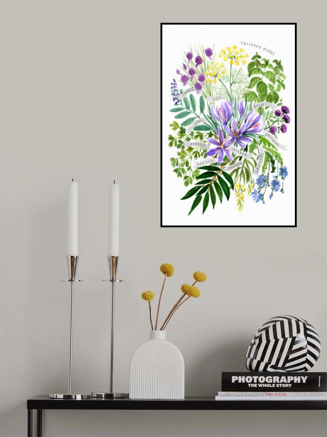 Culinary herbs Poster och Canvastavla