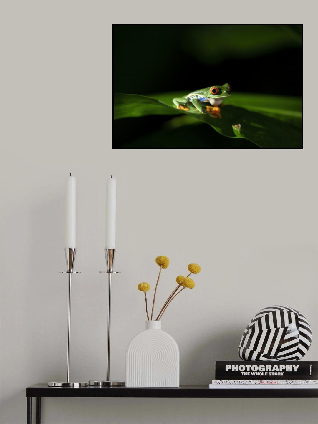 Beautiful Red-eyed Tree Frog Poster och Canvastavla