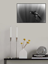 orca's dream Poster och Canvastavla