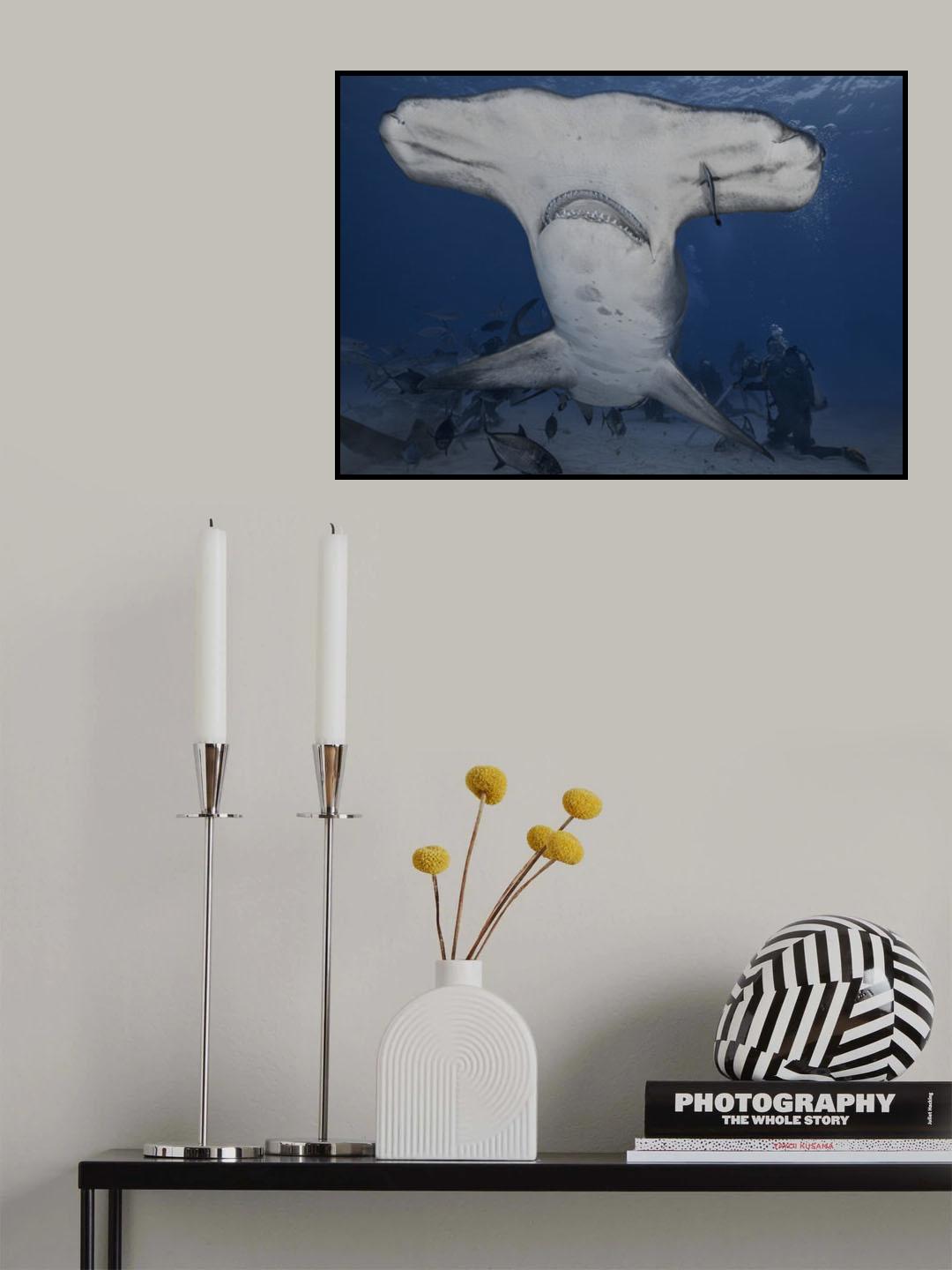 Dive with Giant (hammerhead shark in wild ocean) Poster och Canvastavla