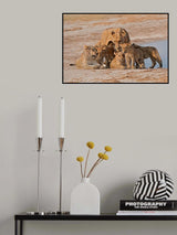 Family Poster och Canvastavla