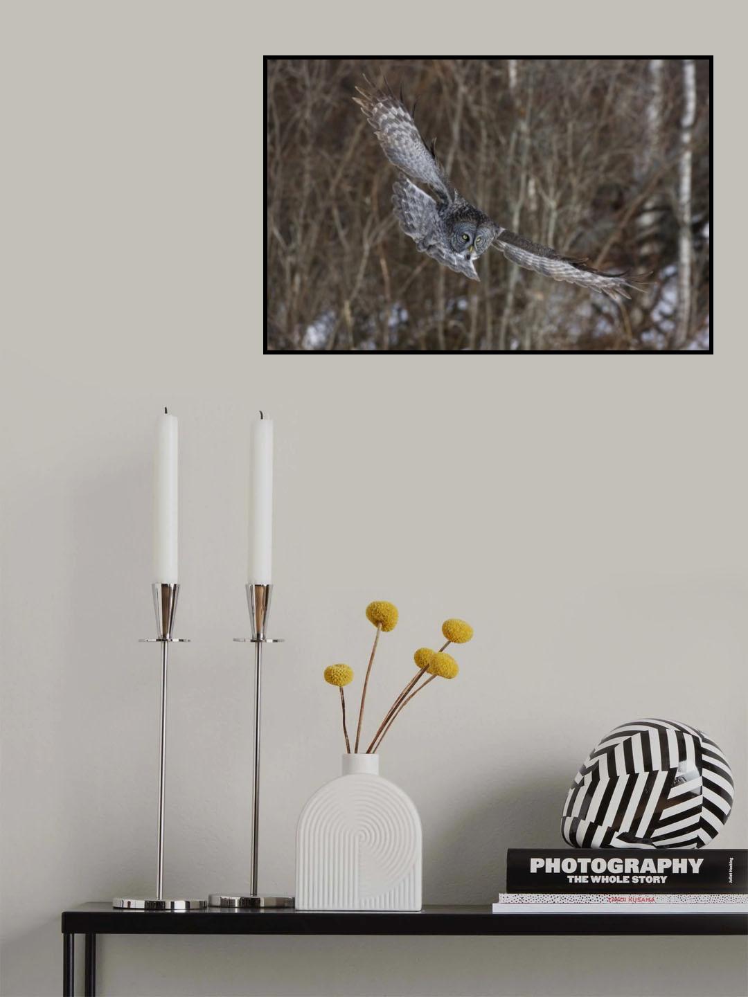 Great Grey Poster och Canvastavla