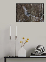 Great Grey Poster och Canvastavla