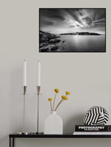 Sleeping Monster Poster och Canvastavla