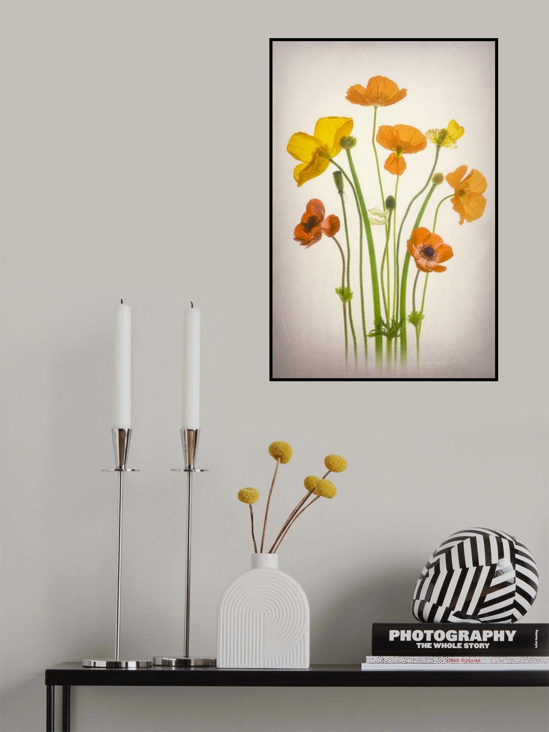 Delightful Poppies Poster och Canvastavla