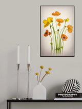 Delightful Poppies Poster och Canvastavla