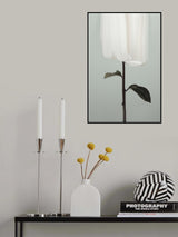 Peony 17 Poster och Canvastavla
