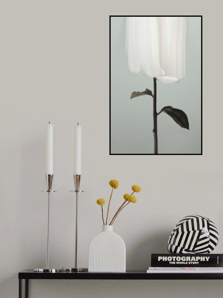 Peony 17 Poster och Canvastavla