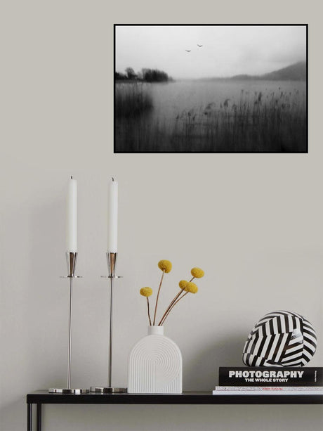 about isolation II Poster och Canvastavla
