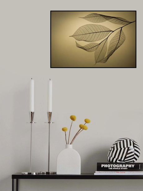Leaf Poster och Canvastavla