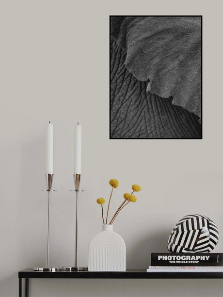 Olifant 02 Poster och Canvastavla