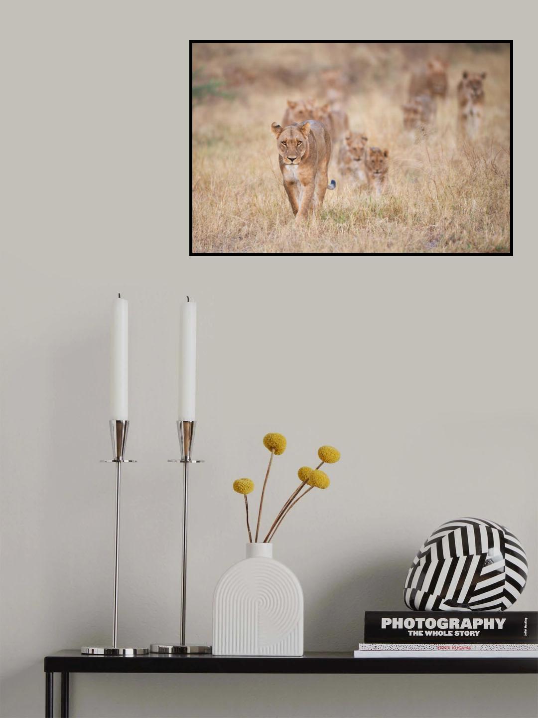 Savage Kingdom Poster och Canvastavla