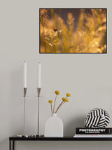Bokeh Poster och Canvastavla