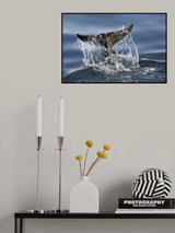 Splash Poster och Canvastavla