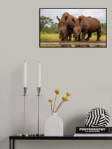 Best Friends Poster och Canvastavla