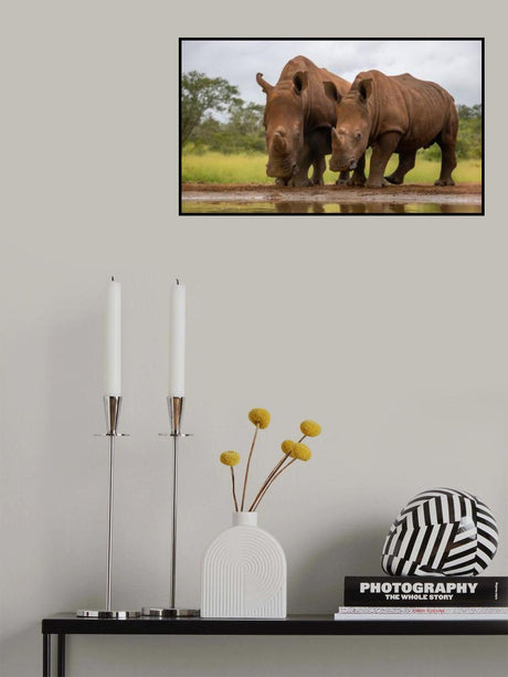 Best Friends Poster och Canvastavla