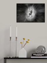 SURVIVE Poster och Canvastavla