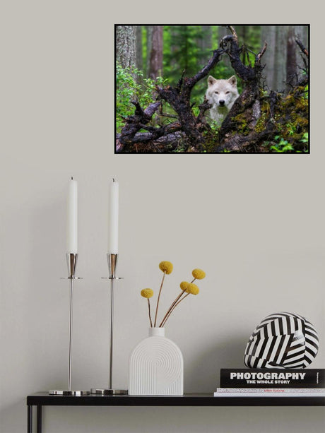 Wolf Poster och Canvastavla